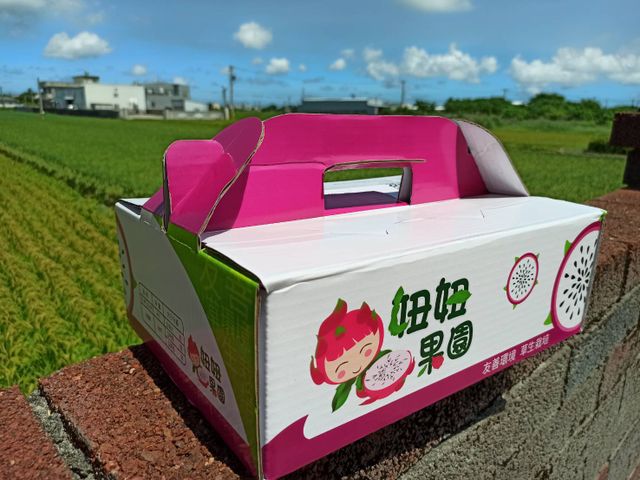【妞妞果園 產銷履歷紅龍果(雙色5斤裝)】白肉 × 紅肉・層次風味新體驗