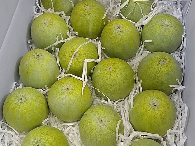 【優質翠妞美濃瓜x1箱(10斤/箱)】果肉綿密 清脆爽口