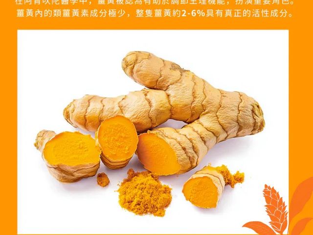 【橙十 野生小果沙棘薑黃紅薑飲】全台獨家研發  薑黃與沙棘完美組合