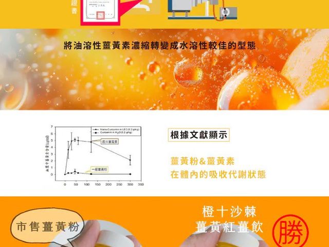 【橙十 野生小果沙棘薑黃紅薑飲】全台獨家研發  薑黃與沙棘完美組合