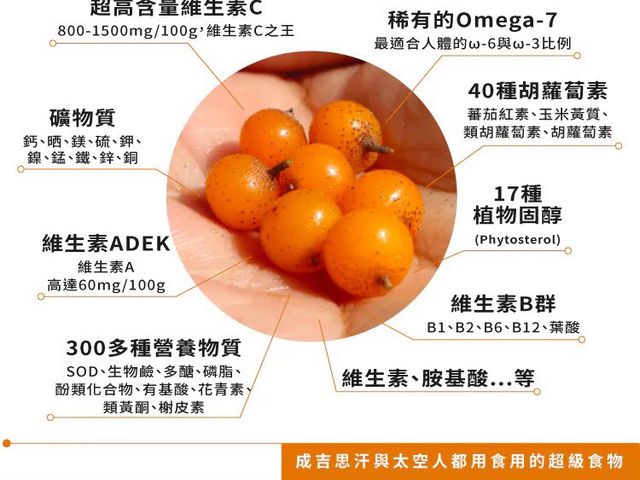 【橙十 野生小果沙棘薑黃紅薑飲】全台獨家研發  薑黃與沙棘完美組合