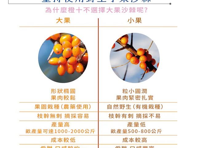 【橙十 人魚肽撒嬌｜野生小果沙棘膠原蛋白飲】全台獨家研發  沙棘與膠原完美組合