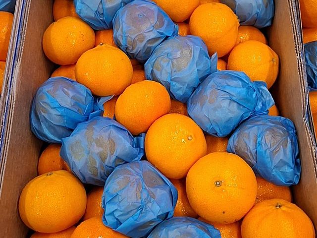【酸甜夠味！南非茂谷柑3斤裝】吸飽滿滿陽光