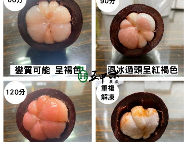 【五甲木 - 泰國極鮮冷凍帶殼山竹 500g/包】頂級水果之后！泰國皇室的最愛