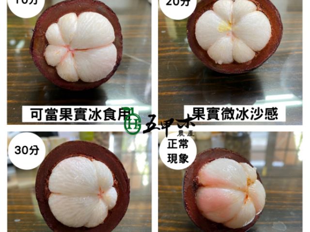 【五甲木 - 泰國極鮮冷凍帶殼山竹 500g/包】頂級水果之后！泰國皇室的最愛