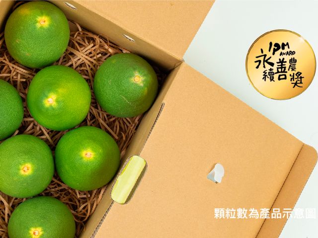 【限量預購中 (八月底出貨)！正宗台南麻豆文旦柚禮盒裝】承載50年的老柚樹 孕育馥郁酸甜果實