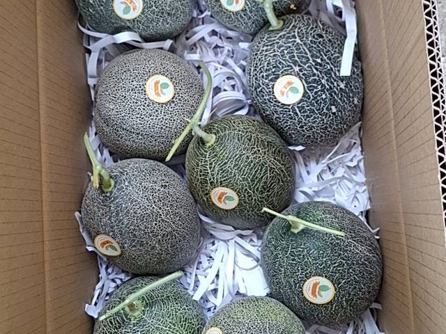【採收中！嘉義太保 有機哈密瓜（橘肉、6~10顆裝）】欣梨5號品種 清脆如水梨