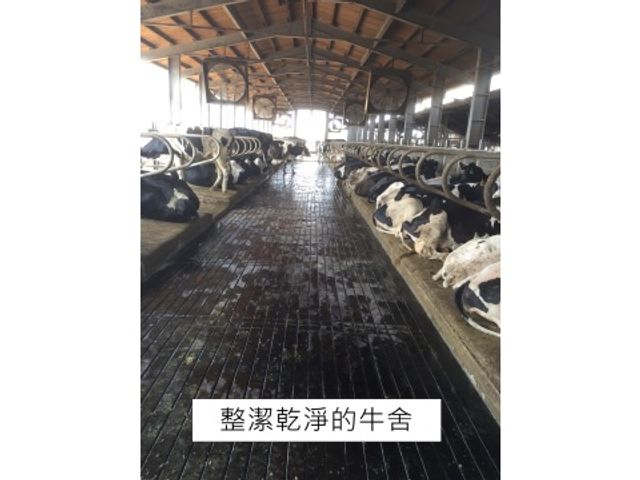 【200ml 明全玻璃瓶鮮乳 20瓶組】超高標準牧場管理的牛奶 第二代瞞著父親也要完成的使命鮮奶