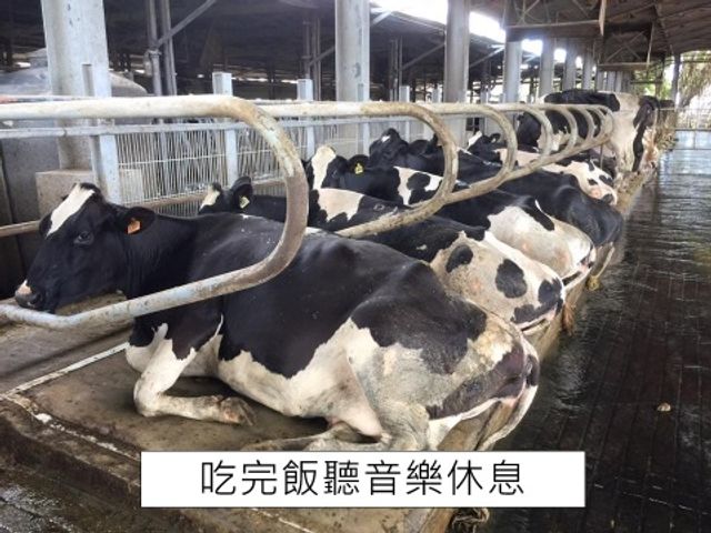 【200ml 明全玻璃瓶鮮乳 30瓶組】超高標準牧場管理的牛奶 第二代瞞著父親也要完成的使命鮮奶
