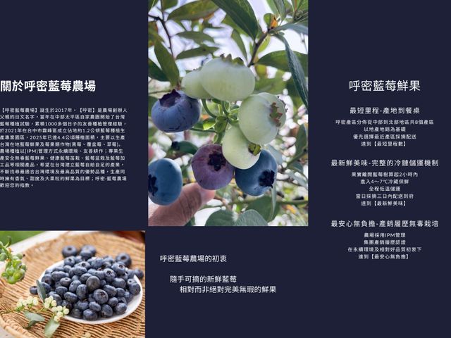 【職人發酵-藍莓優格飲】呼密 × 知覺 品牌聯名限定