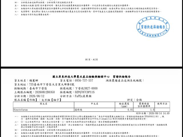 【預購中！台南麻豆文旦 柚見中秋5斤裝】 團圓送禮推薦！自製液肥 倒風內海弱鹼土孕育