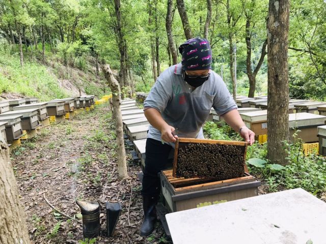 【稀有限量！2026全國頭等獎荔枝蜜 單瓶700g】無添加純荔枝蜜｜連續18年獲得肯定，香氣優雅溫柔的調性