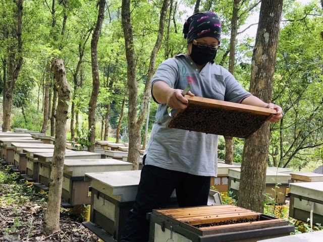【稀有限量！2026全國頭等獎荔枝蜜 單瓶700g】無添加純荔枝蜜｜連續18年獲得肯定，香氣優雅溫柔的調性