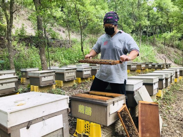 【稀有限量！2026全國頭等獎荔枝蜜 單瓶700g】無添加純荔枝蜜｜連續18年獲得肯定，香氣優雅溫柔的調性