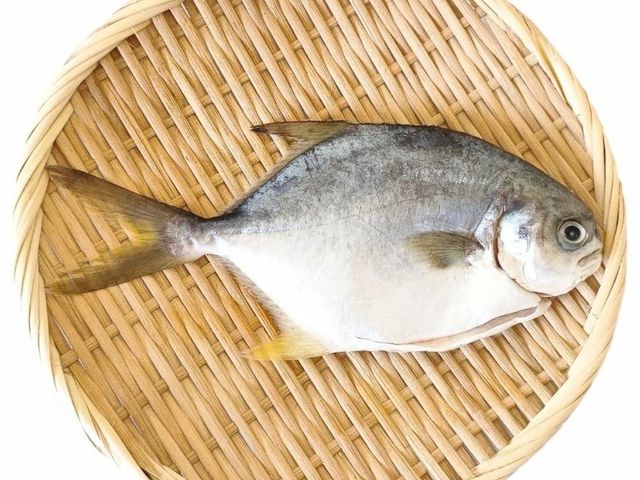 【台灣養殖--澎湃全魚3入組套餐（金鯧魚＋紅魚＋真鯛）】業界最高等級 全環控室內養殖場急凍技術保鮮