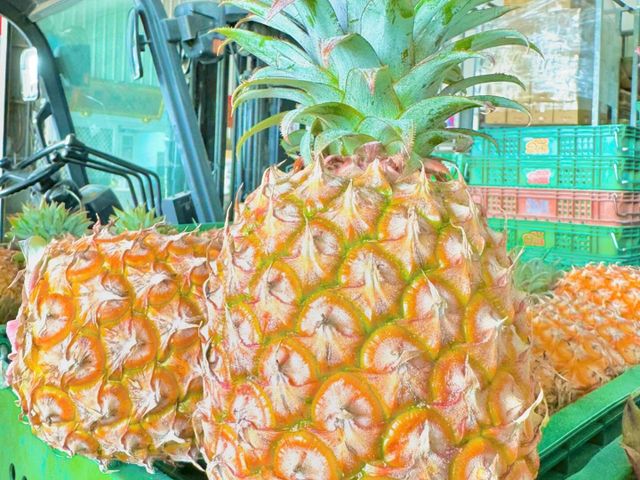 【超好吃！嘉義民雄 甜嫩細緻的金鑽鳳梨】果肉細緻甜度高 這個季節最好吃