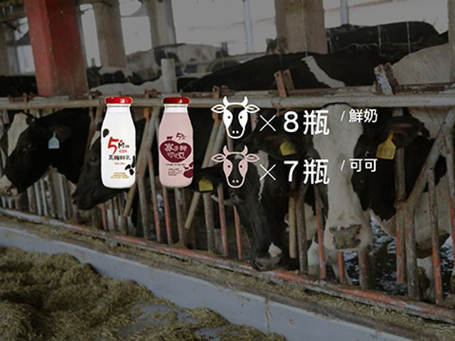 【200cc 五梅玻璃瓶鮮乳x8瓶+寡多醣可可亞牛羊乳x7瓶組】使用五梅牧場牛羊奶 天然原味無添加!