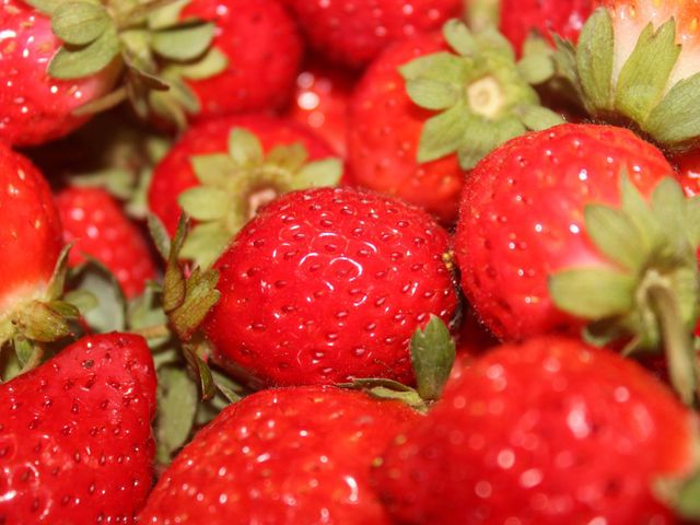 【季節限定 草莓果醬】滿滿果肉 食研所檢驗合格 