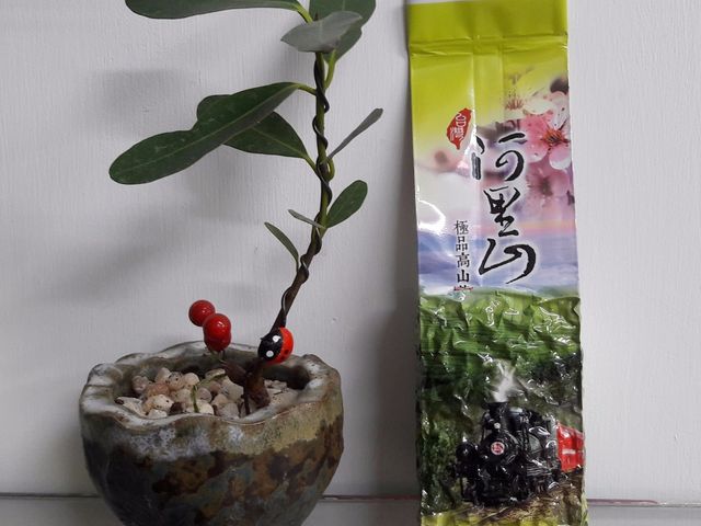 【阿里山優質手採金宣茶150g×1】-冷泡茶熱泡皆宜