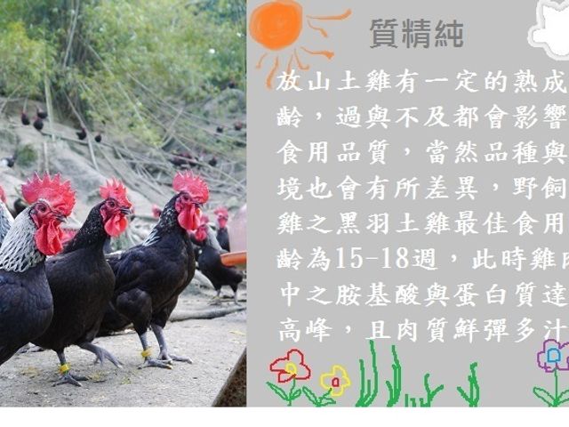 【生鮮全土雞分切 (母雞)】南台灣自然放養土雞 新鮮配送到府!
