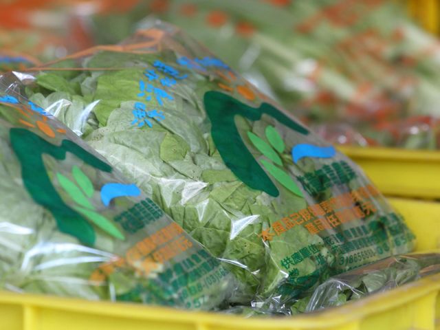 【輕量套餐 2莖6葉有機蔬果箱】來自花蓮壽豐鄉 無毒農業的故鄉!