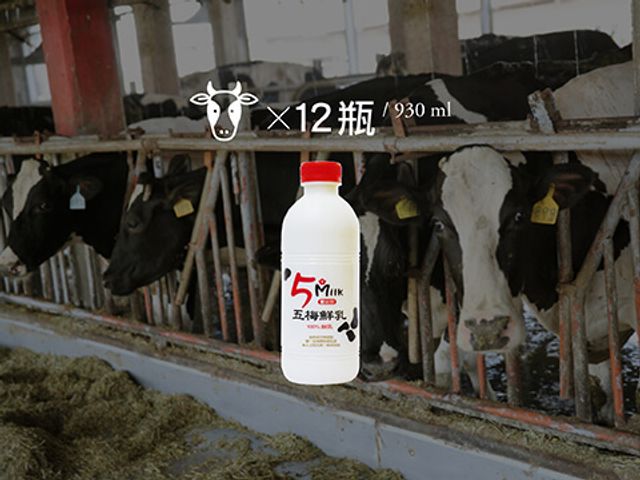 【五梅鮮奶 930cc 12瓶免運組】鮮乳來自全台最高品質五梅獎牧場 成分無調整 牛奶新鮮配送到家! 