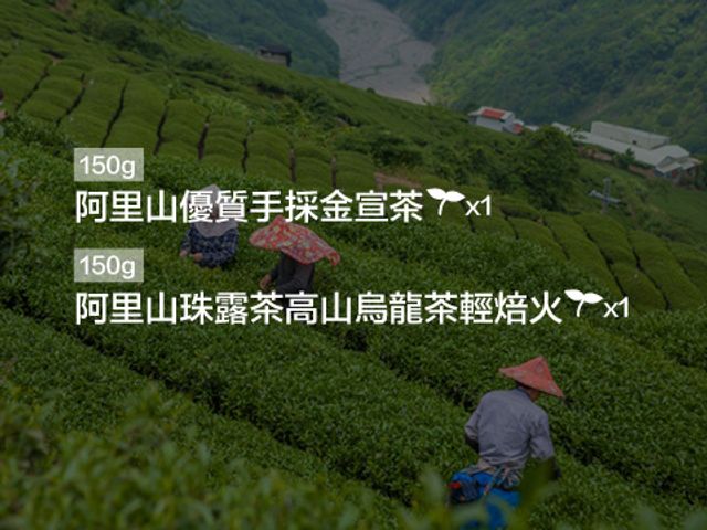 【阿里山優質手採金宣茶X1+阿里山珠露茶-高山烏龍茶X1】