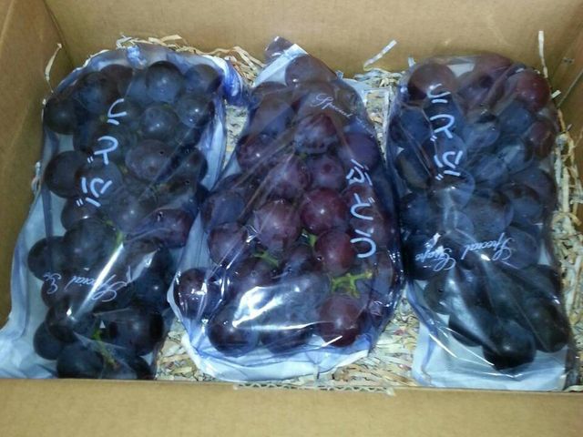 【黃大哥巨峰葡萄 1箱裝】用高規格的品管標準 種出最香甜的葡萄!