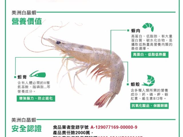 卡馬龍 Camaron 巨無霸 白晶蝦 白蝦 有機無毒環境飼養 通過SGS檢驗符合台灣標準