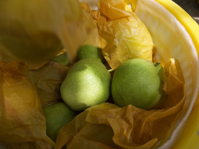 【預購商品 梨山稀有馥梨 18入裝】來自新疆的特殊風味 內行人才知道的稀有水果!