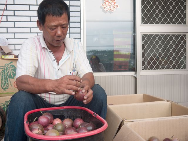 【每週限量 無毒良心百香果 10斤裝】金黃果籽飽滿多汁 酸甜絕佳黃金比例