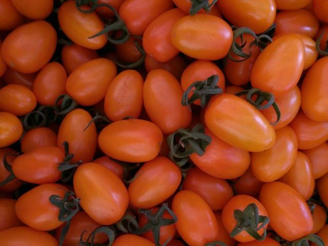 【有機橙蜜香小蕃茄 5斤裝】皮薄多汁 香甜濃郁的小番茄原味！