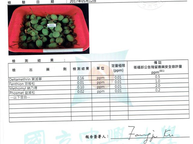 【預購商品 舞動舌尖 吃起來會脆的玉荷包 5斤裝】荔枝職人掌握熟度 恰恰好收成的專業滋味