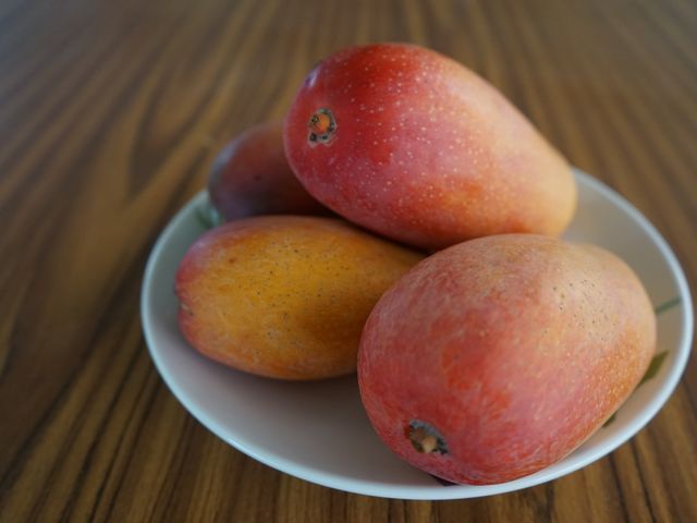 【蜜桃般入口即化 西施芒果 12顆裝】吃不到纖維的細緻美味 芒果博士獨家栽種！