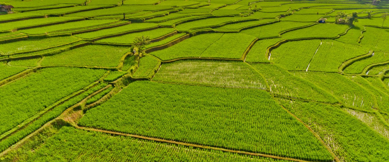 區塊鏈溯源專區